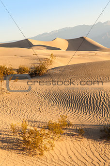 Death Valley Desert