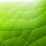 Abstract Green Modern Background