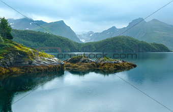 Lake (fjord) and Svartisen Glacier (Norway)