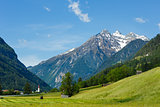 Summer Alpine country view