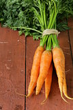 fresh organic carrots with green leaves on a wooden background