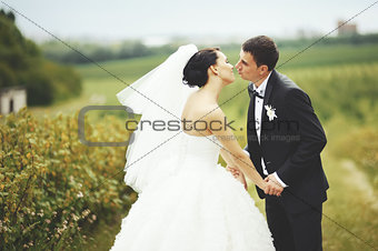 Wedding portrait of a young couple