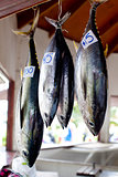 tuna fish at market