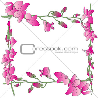 long orchids frame