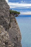 Juniper tree on a cliff above the sea.