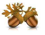 Acorns with leaves