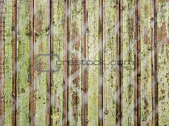 old wooden fence photographed over the net