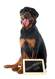 rottweiler and placard