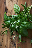 Fresh Basil and Rosemary on a Wooden Background