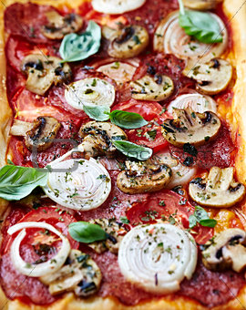 Rustic Pizza with Salami,Tomato, Onion and Mushrooms