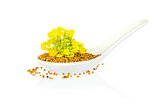 Seed and flower of mustard   in porcelain spoon