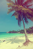 Beautiful tropical beach with coconut palm  