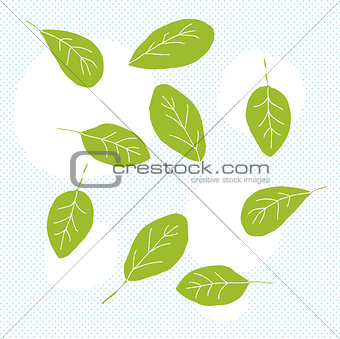 Spinach Leaves Doodle