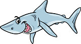 shark animal cartoon illustration