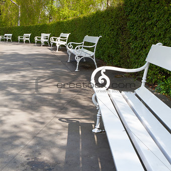 White bench in spring park on Petrin 
