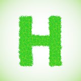 grass letter H