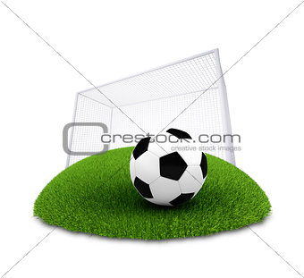 Soccer ball and gate on plot of green grass