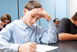 Adolescent Boy - School Test