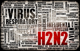 H2N2
