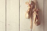 Posed Pointe Shoes in Natural Light 
