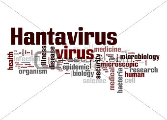 Hantavirus virus word cloud
