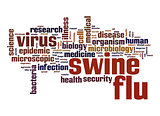 Swine flu word cloud