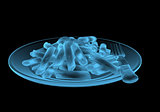 Fast food pasta x-ray blue transparent isolated on black