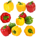 Set red green and yellow sweet  bell pepper isolated on white ba