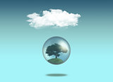 Tree in globe under a white cloud