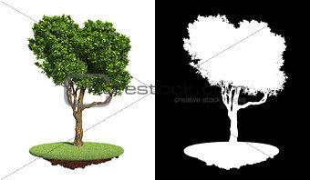 Isolated Green Tree on Grass with Detail Raster Mask.