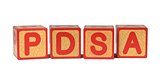 PDSA - Colored Childrens Alphabet Blocks.