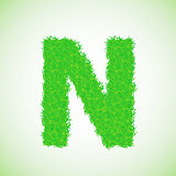 grass letter N