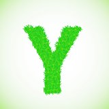 grass letter Y