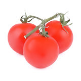 Tomatoes with Twigs
