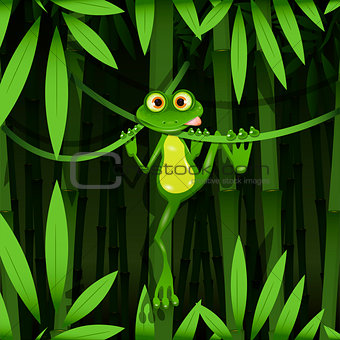 frog in a jungle