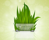 Green grass with a glass plate for the text