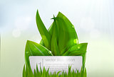Green grass with a sign for text