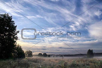 Landscape with the morning mist