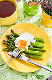 Breakfast with poached egg and green asparagus