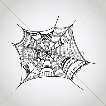 Vector spider-web