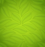 Green leaves texture, eco friendly background