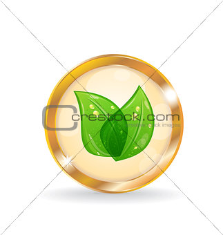 Golden circle label with eco leaves