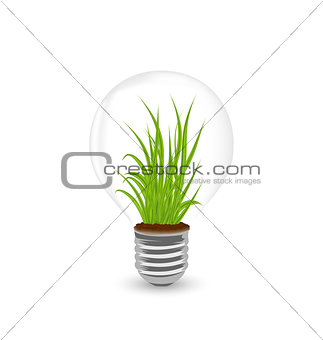 Lamp with grass inside isolated on white background