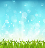 Summer nature background with grass