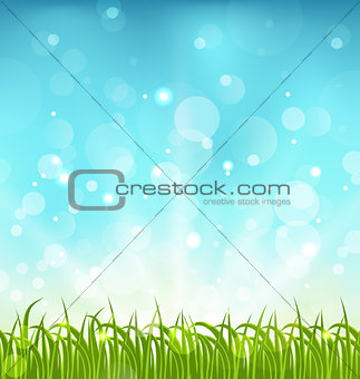 Summer nature background with grass