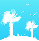 Summer background with palm trees and seagulls