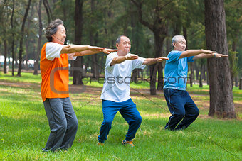 seniors friends or family doing gymnastics in the park