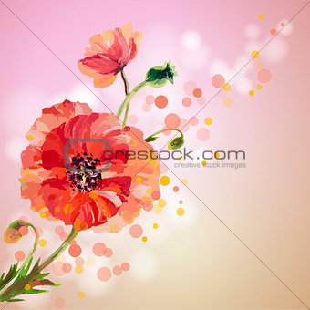 Poppies. Summer flowers invitation template card