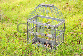 Cage for birds on a green  grass