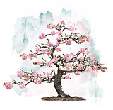 Pink Blossoming Tree